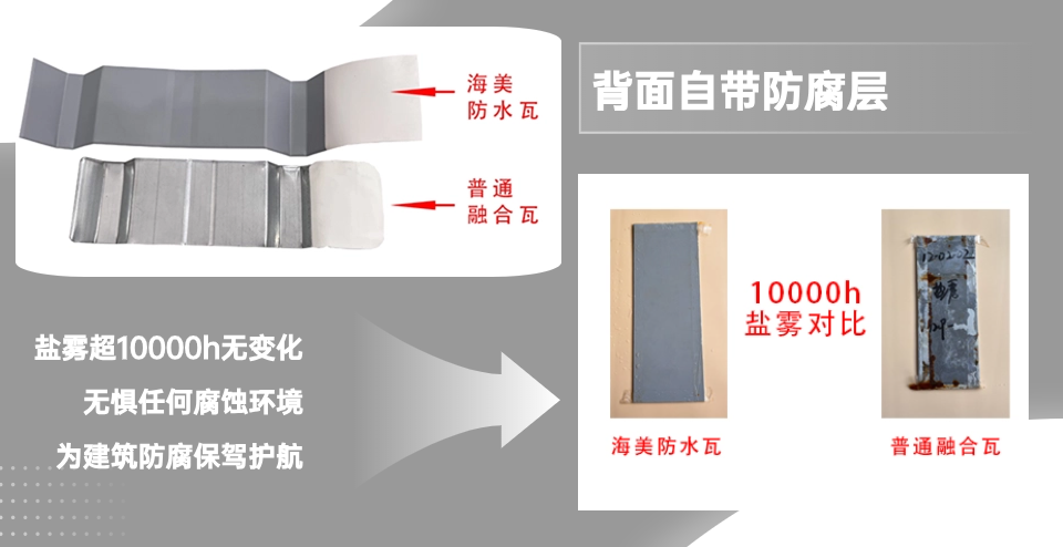 對比關系背面.png